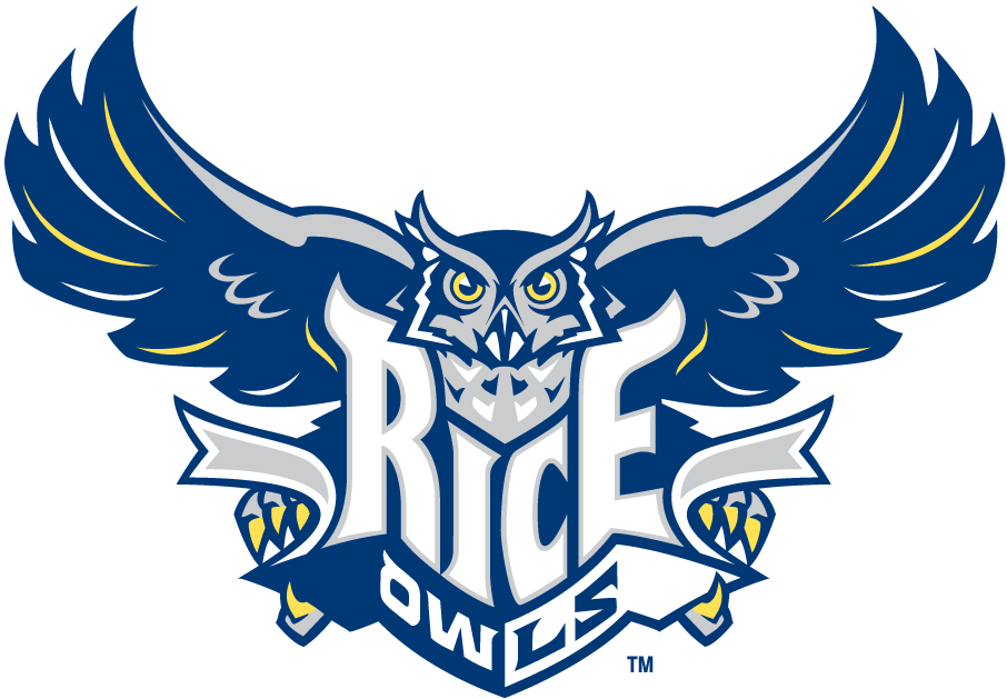 Rice Owls 2003-2009 Primary Logo iron on transfers for T-shirts